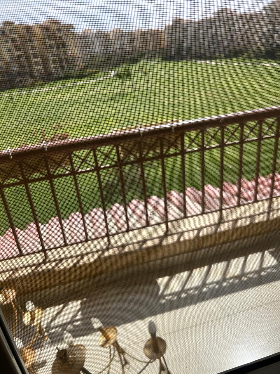 للإيجار مفروش شقة في مدينتي بمساحة 240 م2 تشطيب سوبر لوكس 